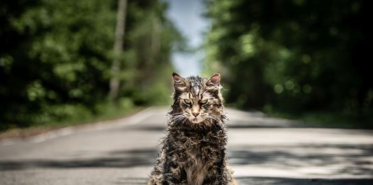 &quot;Νεκρωταφίο ζώων&quot;: Έρχεται το remake τρόμου της χρονιάς