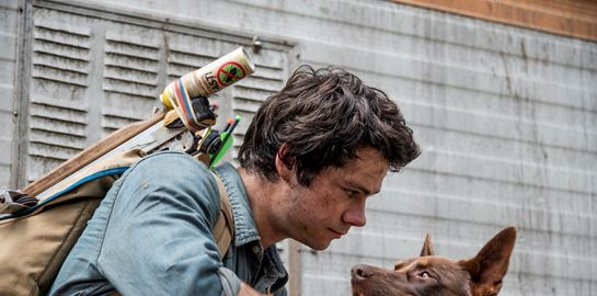 Οι καλύτερες ταινίες του Netflix αυτή τη στιγμή