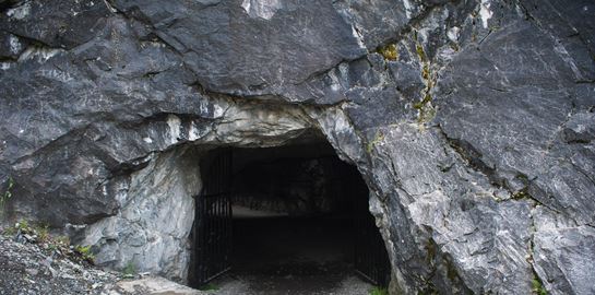 Στην Ινδονησία ανακαλύφθηκε η αρχαιότερη σπηλαιογραφία ζώου στον κόσμο