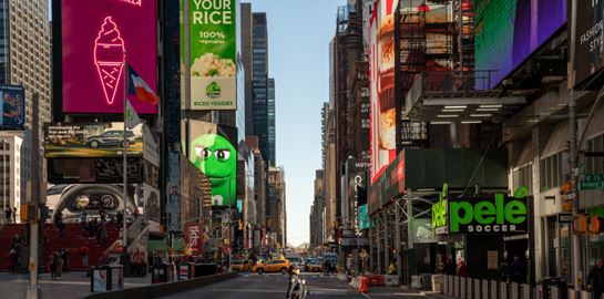 Η καραντίνα μίας Νεοϋορκέζας στο &quot;Μεγάλο Μήλο&quot;