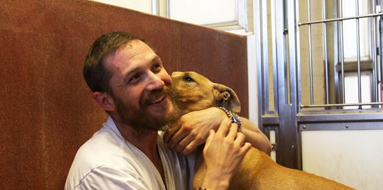 Τα σκυλιά σε κάνουν πιο χαρούμενο, πιο υγιή και πιο fit