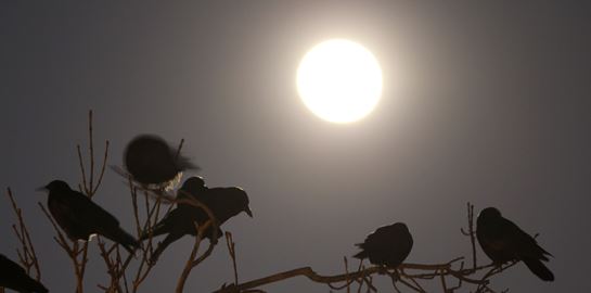 Πιο ζεστές οι νύχτες στην Ευρώπη λόγω της κλιματικής αλλαγής