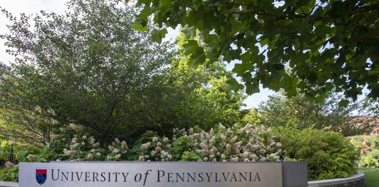 Τα κορυφαία πανεπιστήμια που παράγουν δισεκατομμυριούχους