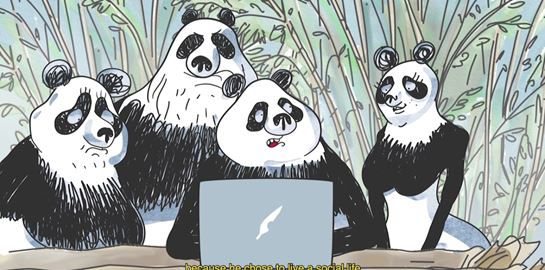 Animasyros 12: Tα highlights του φετινού προγράμματος