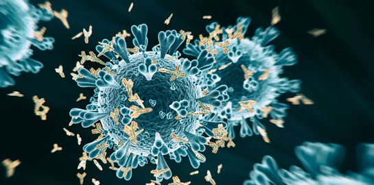 Μεταδίδεται ο κορονοϊός και μετά θάνατον;