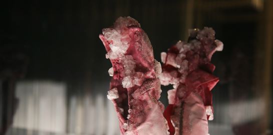 Sweat-Athens: Ο ανθρώπινος ιδρώτας μεταμορφώνεται σε έργο τέχνης