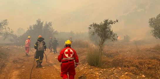 Μάχη με τις φλόγες σε Βοιωτία, Εύβοια, Καβάλα, Κύθνο - Οι εξελίξεις σε όλα τα μέτωπα