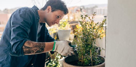 Κηπουρική, η νέα ψυχοθεραπεία