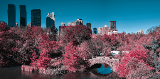 Έτσι μοιάζει ο κόσμος όταν έχεις δυσχρωματοψία