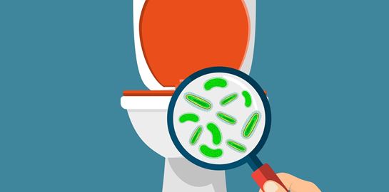 Δωμάτιο ξενοδοχείου vs κάθισμα τουαλέτας, μία πραγματικά βρώμικη σύγκριση