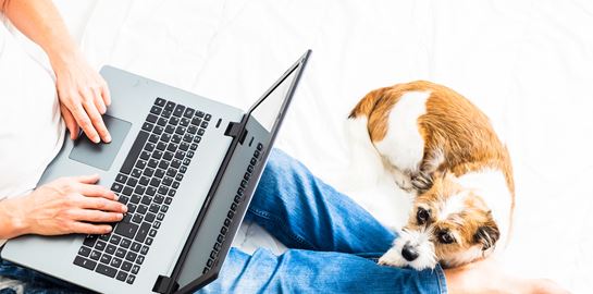 Τηλεργασία, η νέα εργασιακή κουλτούρα;