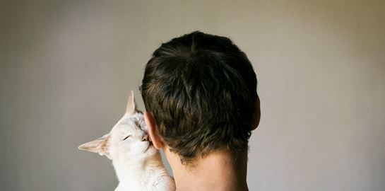 Kama muta, το νέο συναίσθημα που περιέγραψαν για πρώτη φορά οι επιστήμονες