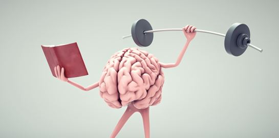 Τι ακριβώς συμβαίνει στον εγκέφαλο όταν διαβάζουμε