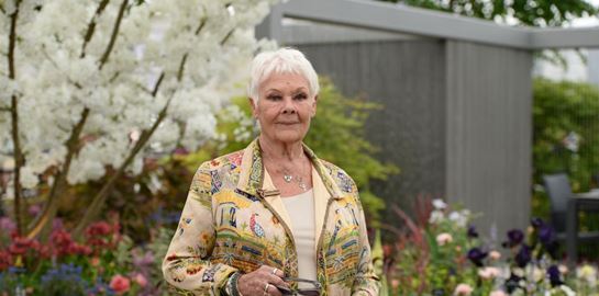 Όταν η Judi Dench τραγούδησε Abba