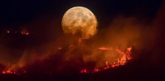 Μόλις 12 χρόνια απέμειναν για να σωθεί ο πλανήτης