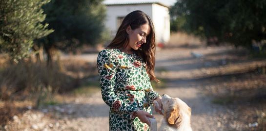 Stray Stories, ένα YouTube κανάλι με αδέσποτες ιστορίες