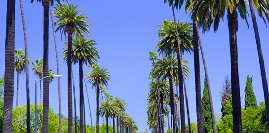 Μερικά από τα πιο φωτογραφημένα film locations του κόσμου