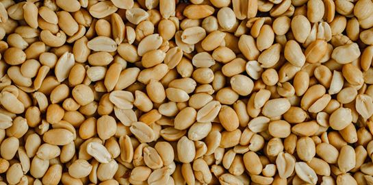 Αυτή η τροφή επιβραδύνει τη γήρανση με βάση μια νέα έρευνα