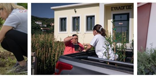 To φυσικό μεταλλικό νερό Βίκος τίμησε και φέτος την Παγκόσμια Ημέρα Γης με την δεντροφύτευση 2.000 καρποφόρων δέντρων σε βόρεια Εύβοια &amp; Μάνη