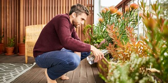 Τα ευεργετικά οφέλη των λουλουδιών στην υγεία μας