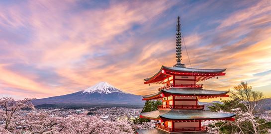 Ένας διαφορετικός ταξιδιωτικός οδηγός για την Ιαπωνία