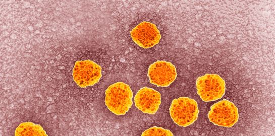 Το Νόμπελ Ιατρικής σε τρεις επιστήμονες που ανακάλυψαν τον ιό της ηπατίτιδας C