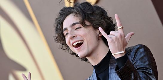 Εσύ θα φορούσες το κροκό κοστούμι του Timothée Chalamet;