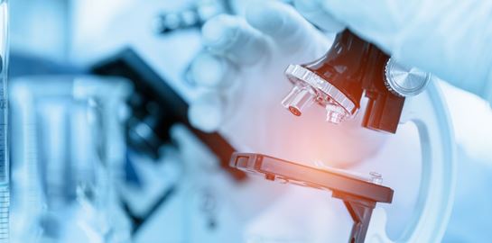 Σε άλλα νέα, αυξάνονται τα κρούσματα της ευλογιάς των πιθήκων