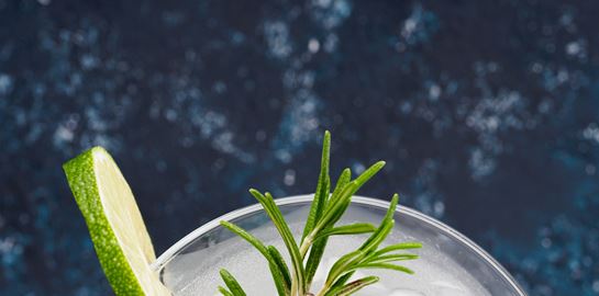 Το 2019 είναι μάλλον η χρονιά του gin