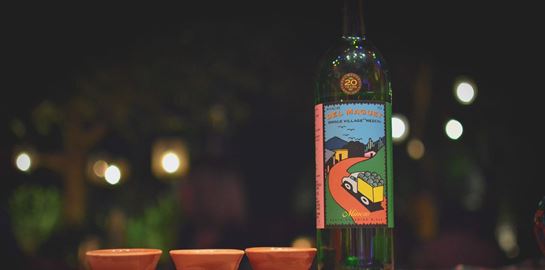 Ο αθηναϊκός παράδεισος της αγαύης βρίσκεται σε μια αυλή του Χαλανδρίου