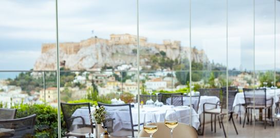 Metropolis Roof Garden