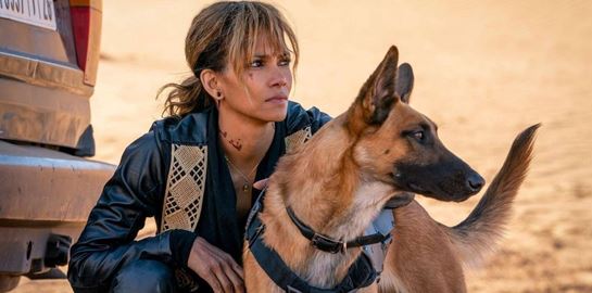 Πόσο ακριβείς είναι οι σκυλομαχίες στο John Wick 3 ;