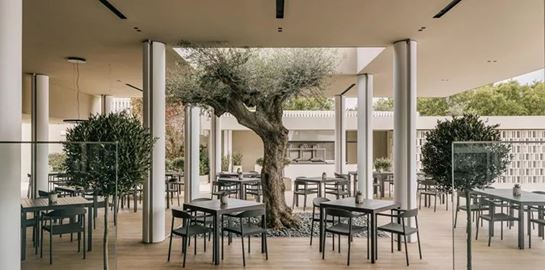 Meltemi | Η νέα πρόταση στην Αθηναϊκή Ριβιέρα που δίνει γεύση στο καλοκαίρι σας