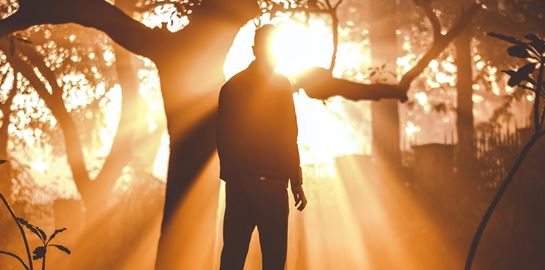 Το φως της ζωής - Η σημαντική ανακάλυψη επιστημόνων στον Καναδά