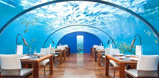 Μερικά από τα πιο περίεργα εστιατόρια του κόσμου