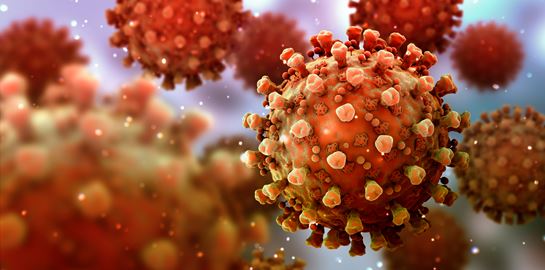 Μπορεί το κοινό κρυολόγημα να μας προστατέψει από τον κορονοϊό