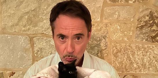 Διάσημοι που αγάπησαν γάτες