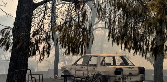Έκκληση βοήθειας για πληγέντες: Χρήσιμα τηλέφωνα για στέγη, σίτιση και φροντίδα ζώων