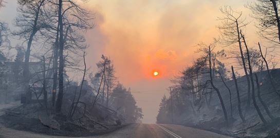 Ρεκόρ καταστροφών από πυρκαγιές τον Ιούλιο σε όλο τον κόσμο