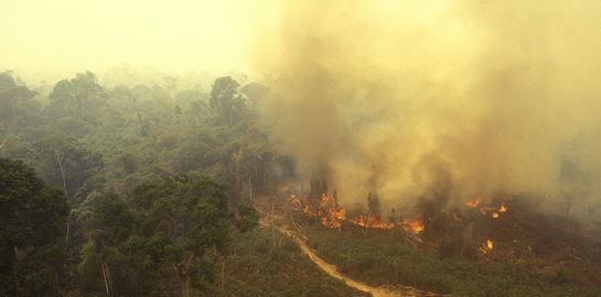 Ο Αμαζόνιος συνεχίζει να φλέγεται