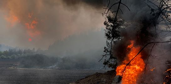1.100 πυρκαγιές στη Μεσόγειο προβλέπουν οι Financial Times έως τα μέσα Αυγούστου