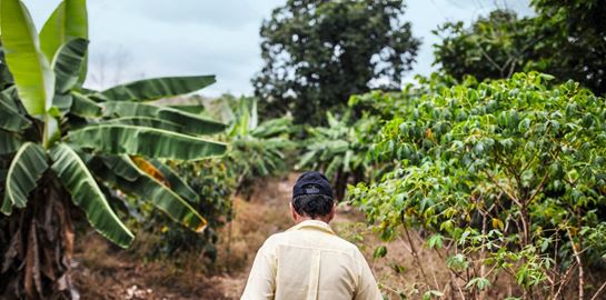 Ο νέος καφές της Nespresso έρχεται από τα Νησιά Γκαλαπάγκος