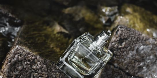 Τα ξυλώδη αρώματα του φετινού χειμώνα