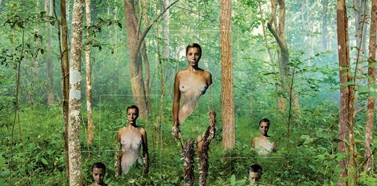 Η φύση ως τέχνη στο Ημερολόγιο του 2019 της Lavazza &quot;Good to Earth&quot;