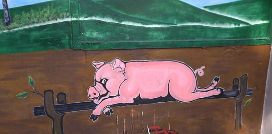 Η μεγάλη λεωφόρος του κρέατος βρίσκεται στο Πουέρτο Ρίκο