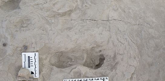 Μεγάλη ανακάλυψη: Δύο είδη ανθρωπίνων ζούσαν μαζί πριν 1,5 εκατ. χρόνια