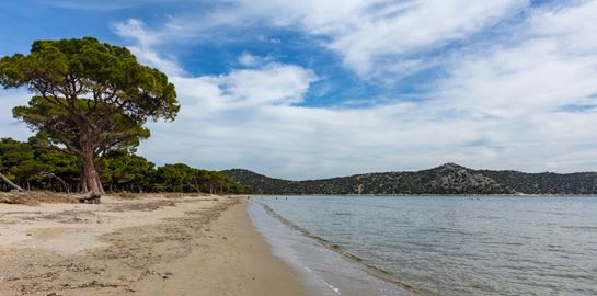 Οι 19 παραλίες της Αττικής με Γαλάζια Σημαία