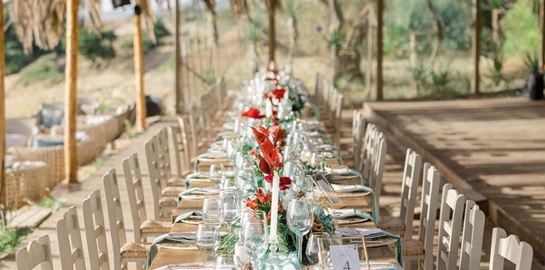 Στο Ammothines στη Μεσσηνία για εκλεπτυσμένες γεύσεις