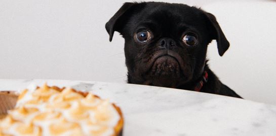 Η νηστεία που όλοι πρέπει να ακολουθήσουμε