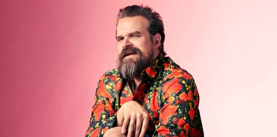 Το προσωπικό ταξίδι του David Harbour στο Upside Down
